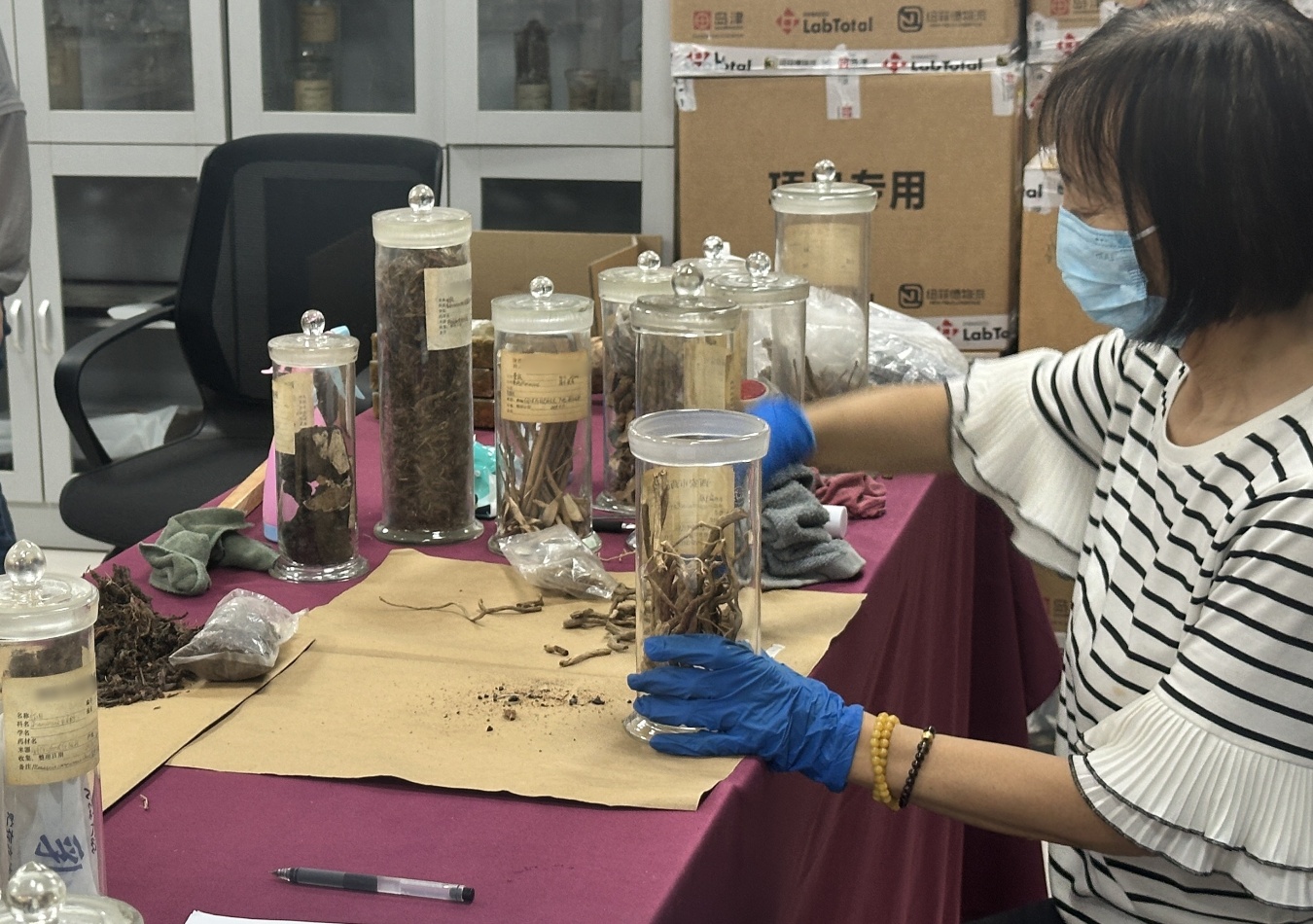 老標(biāo)本新面貌 修復(fù)“整容”有一套！