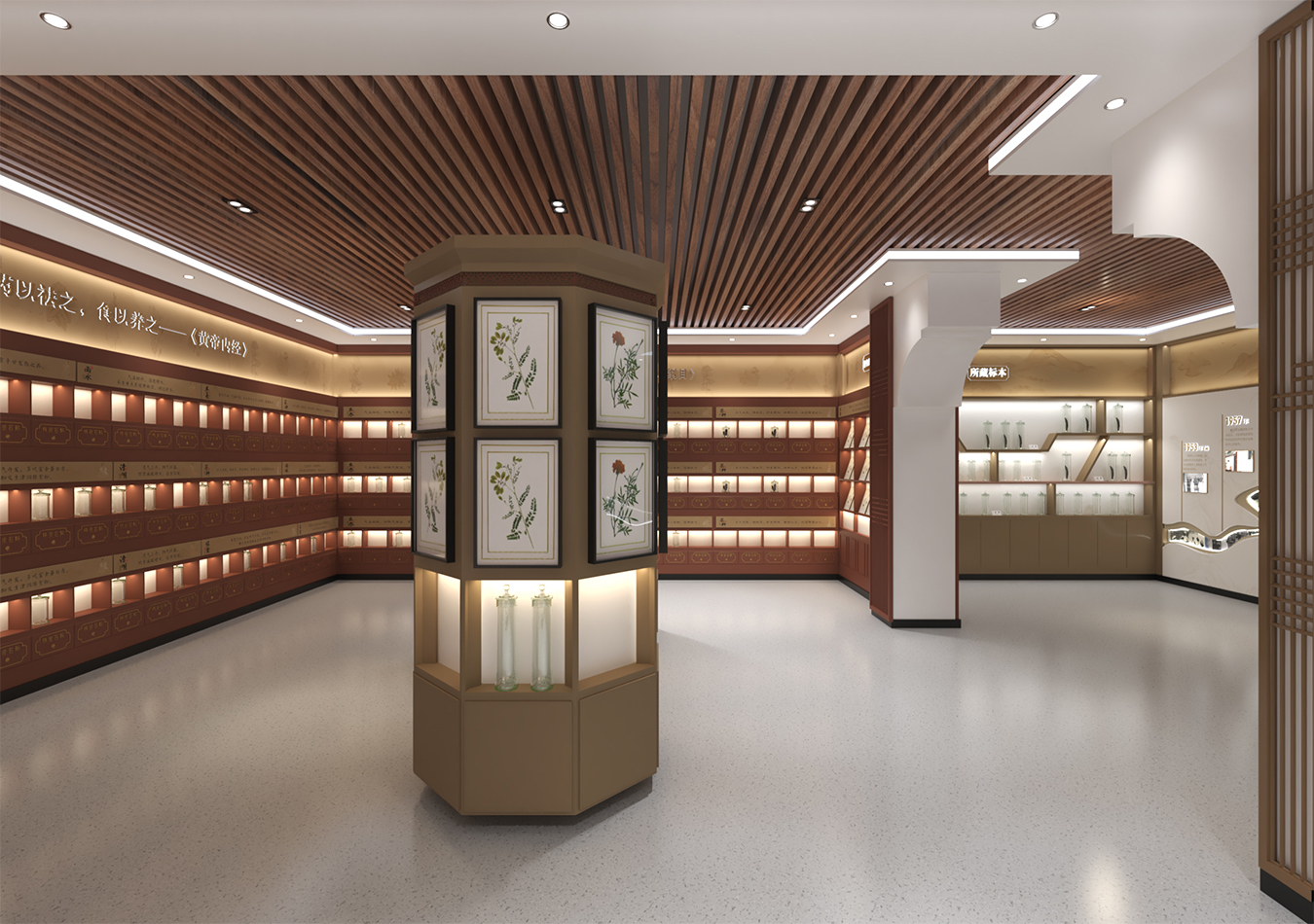 中藥標本館2.0｜從構(gòu)想到圖紙 創(chuàng)意逐步落地生根！